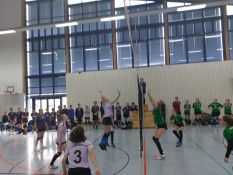 27.11.2023 - DCM 2023